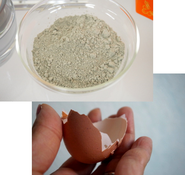 卵殻膜と海泥