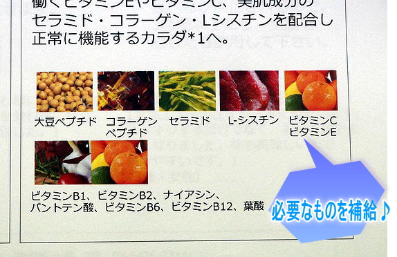 必要なもの