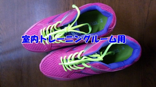 トレーニングシューズ