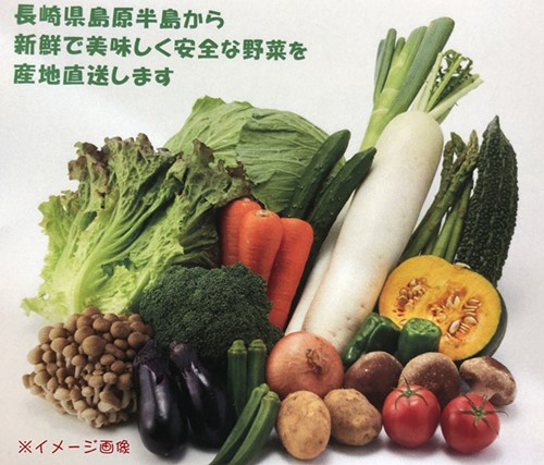 マツオファーム産直野菜